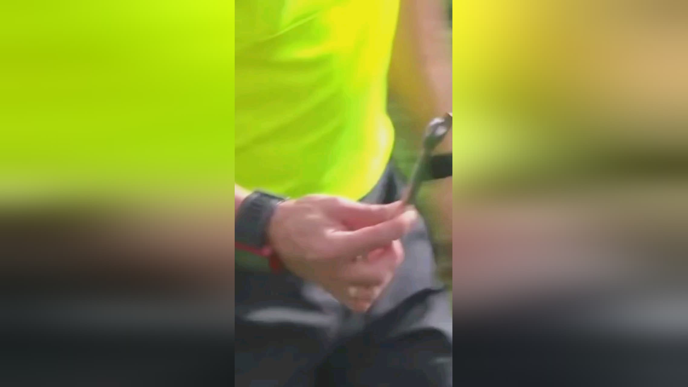 他球员的
